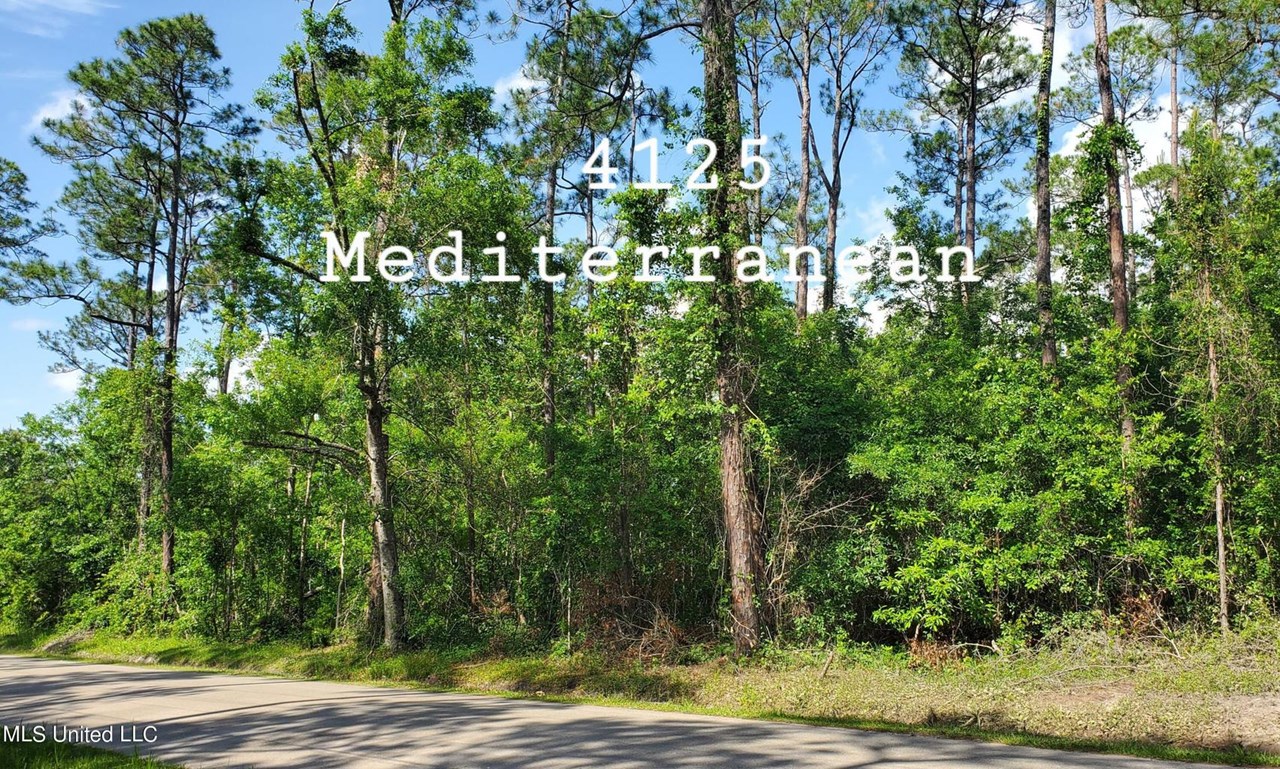 4125 Mediterranean